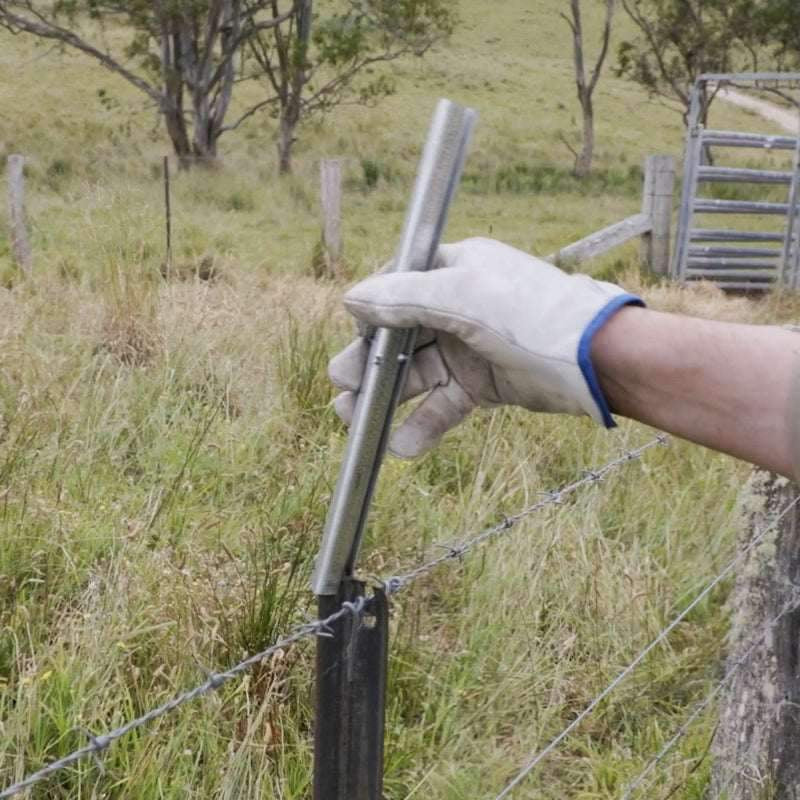 PickeX POLE STAR 300